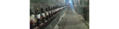 232. திருப்பாதிரிப் புலியூர்